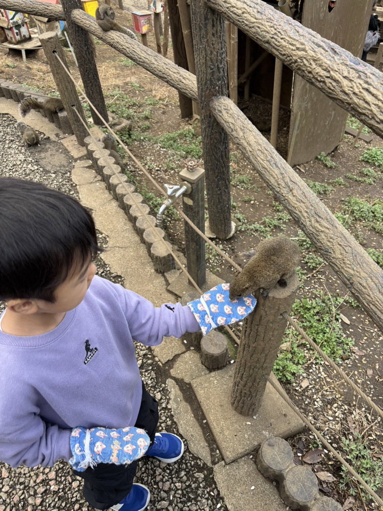 リスの画像