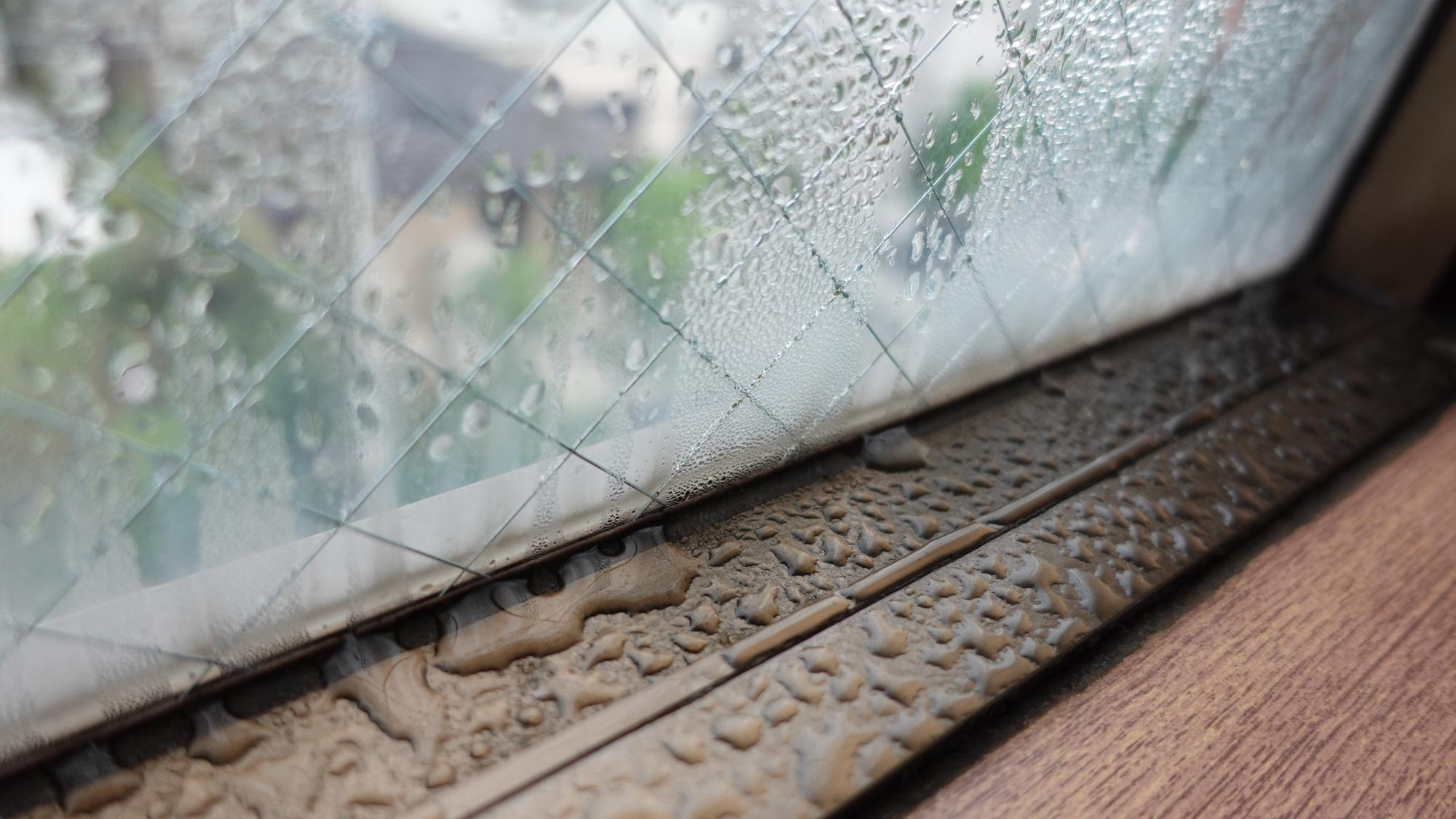 雨の日こそチャンス！内見で失敗しないチェックポイントと住まい選びのコツの画像