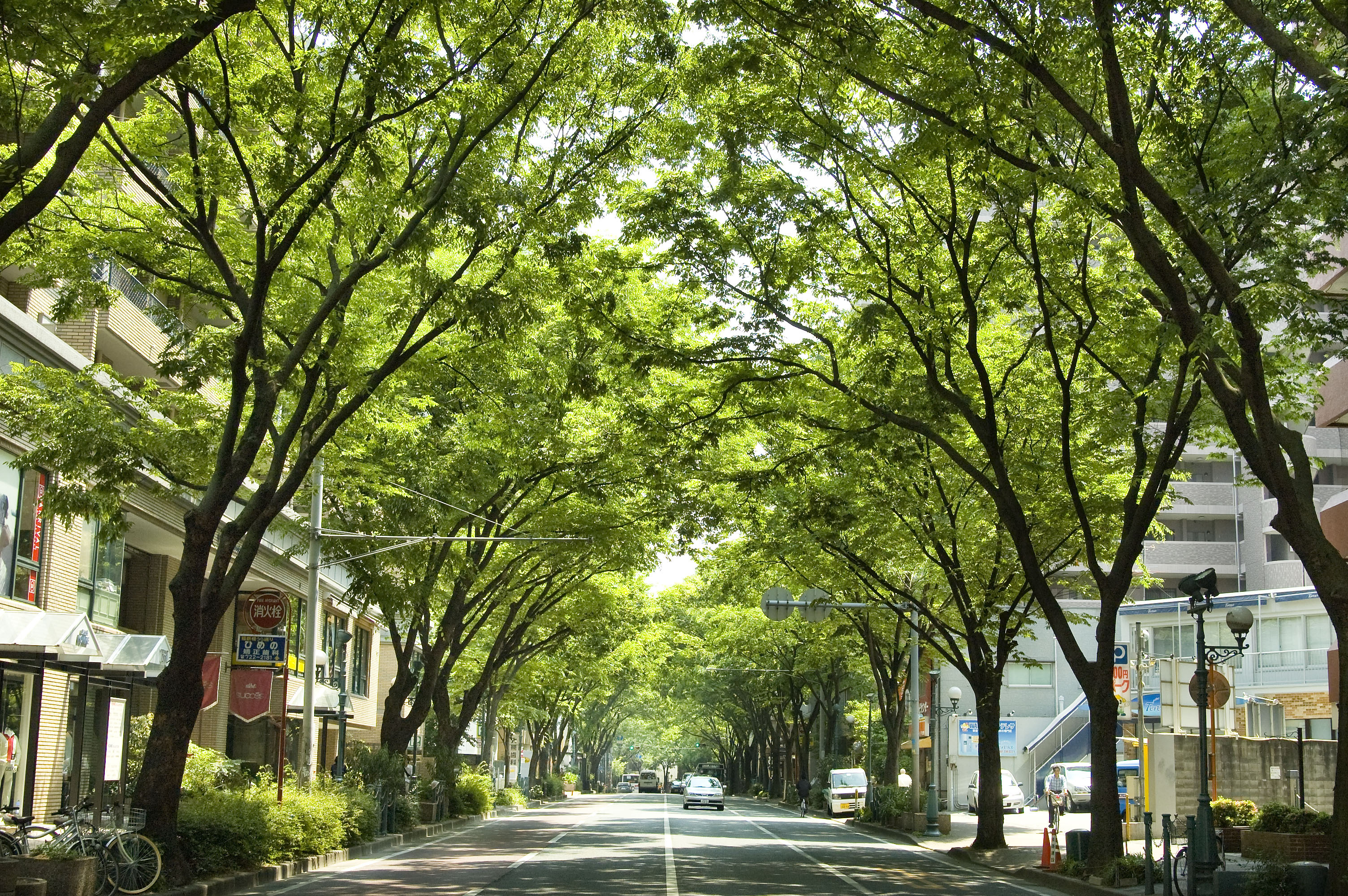 福岡市で今後地価が上がるエリアはどこ? 将来性と住みやすさを押さえた選び方ガイドの画像
