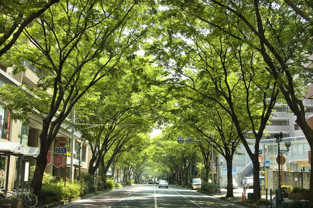 福岡市で今後地価が上がるエリアはどこ？  将来性と住みやすさを押さえた選び方ガイドの画像