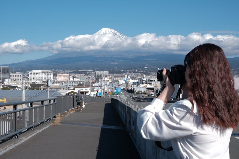 静岡市で子育てしやすい街はどこ？エリア別教育・保育環境レポート2024の画像