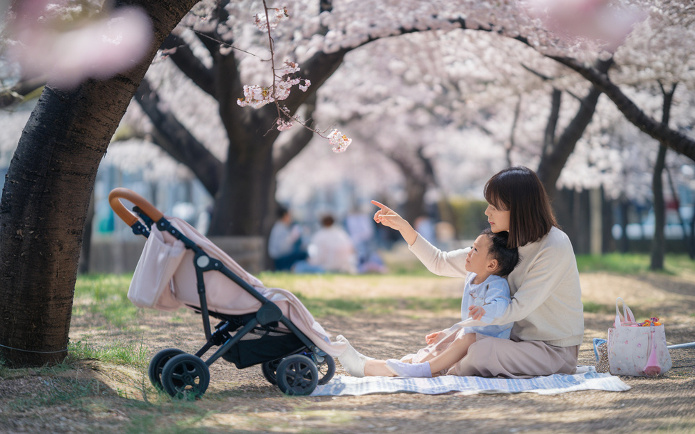 札幌で子連れお花見を楽しむコツは  家族で安心して行ける札幌のお花見スポット紹介の画像