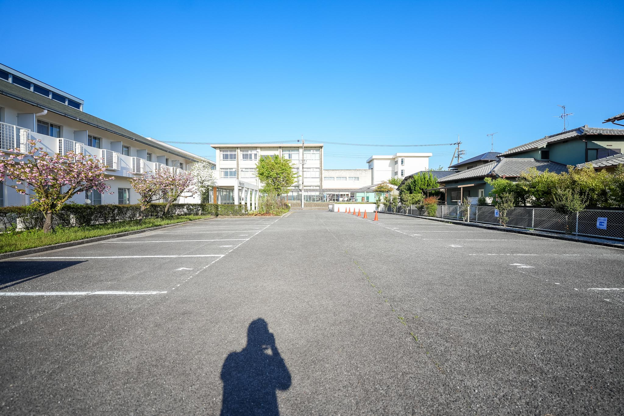 写真10