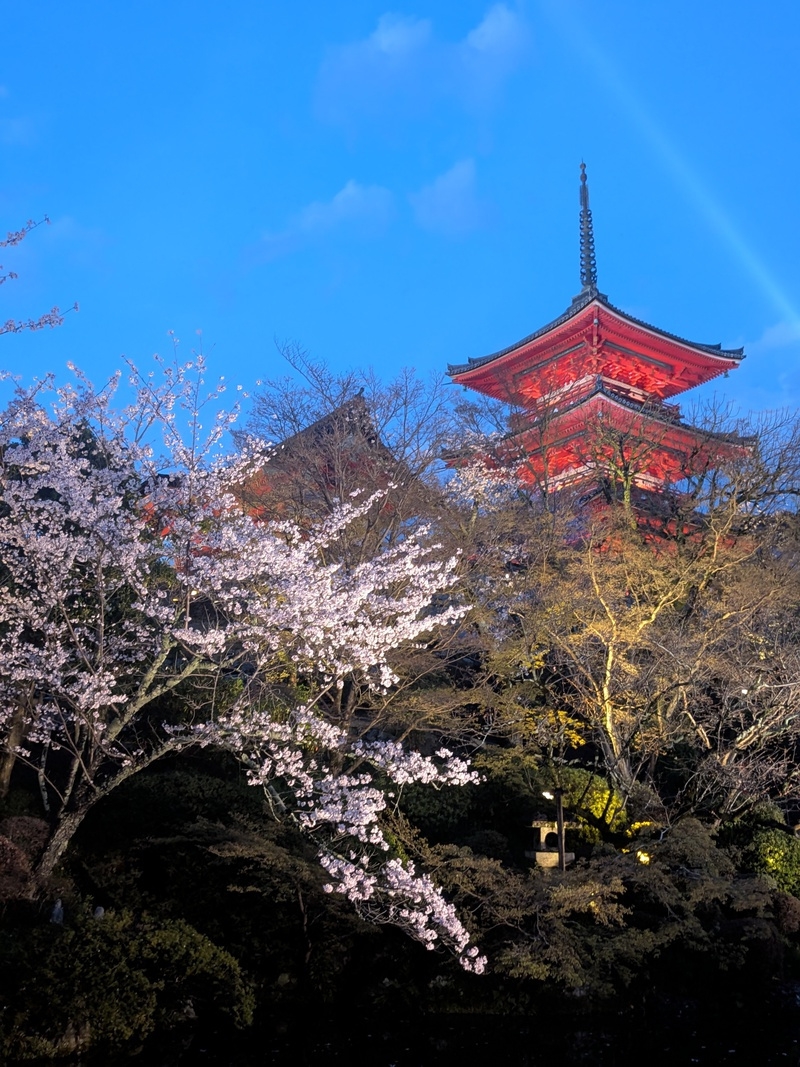 そうだ！京都へ行こう〜♪の画像