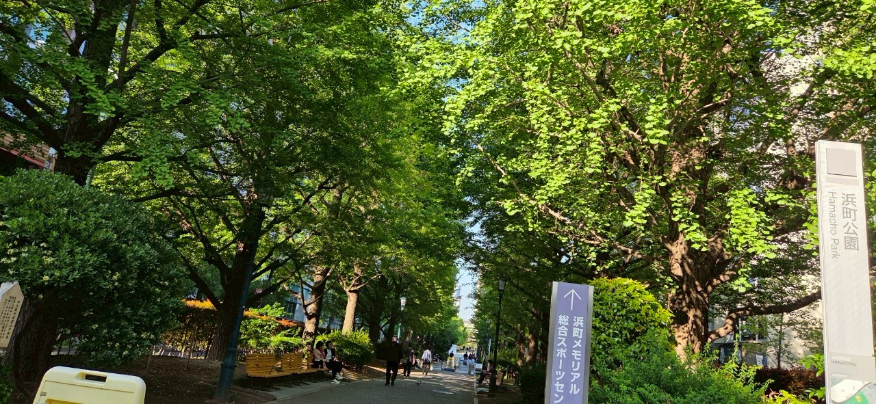 【東京都中央区】ママ会・パパ会にぴったりのスポット5選の画像