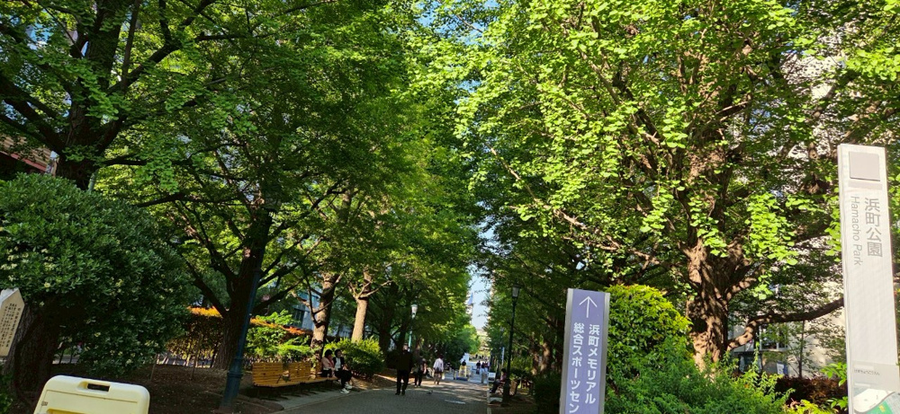 【東京都中央区】ママ会・パパ会にぴったりのスポット5選の画像