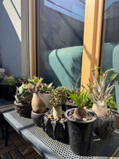 外管理開始！！の画像