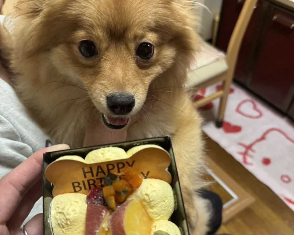 HAPPY BIRTH DAY♡の画像