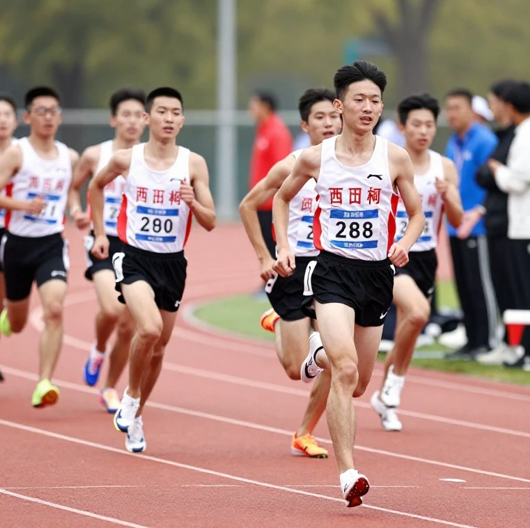 守口市 公立中学校ガイドの画像