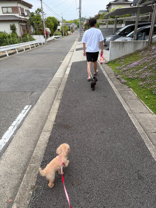 お散歩の画像