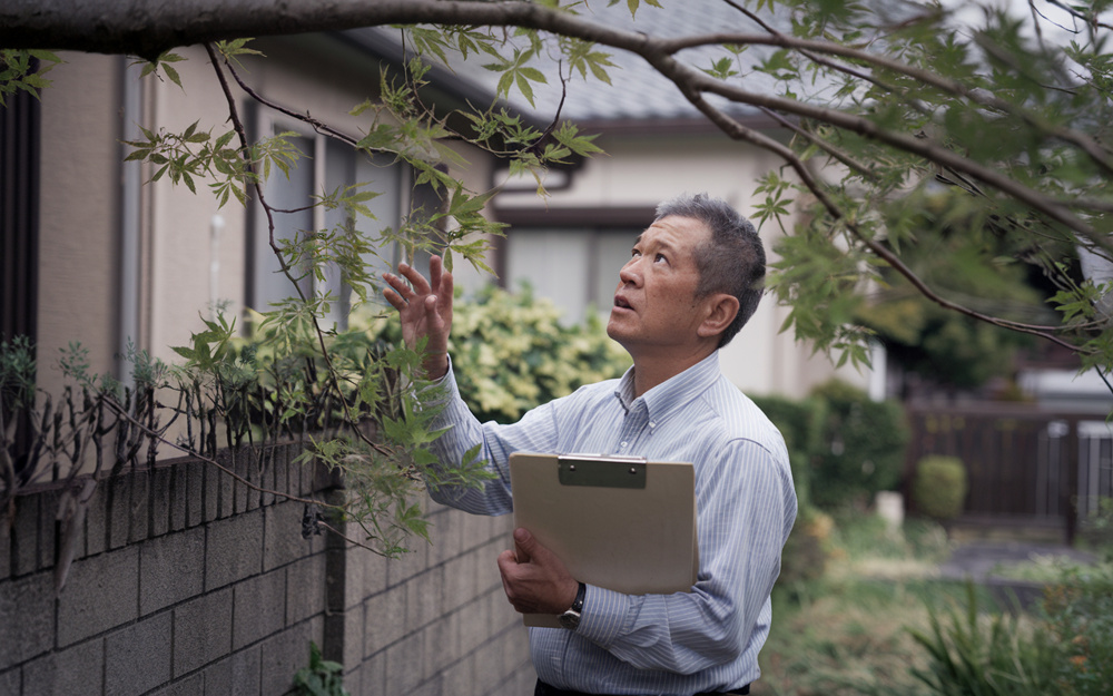 隣の庭木が越境しているときの対処法は  我が家の庭木が隣に越境している場合の注意点も解説の画像