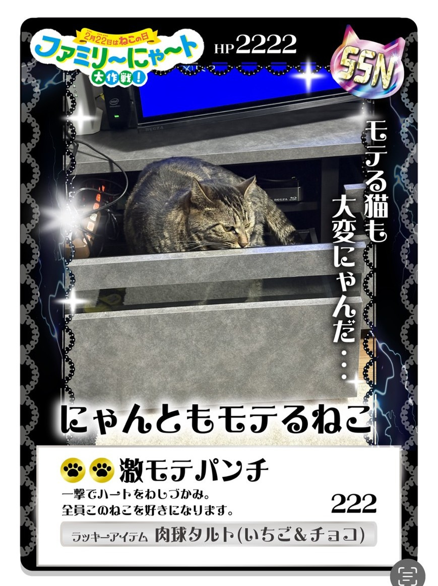 22日はネコの日で！！！の画像