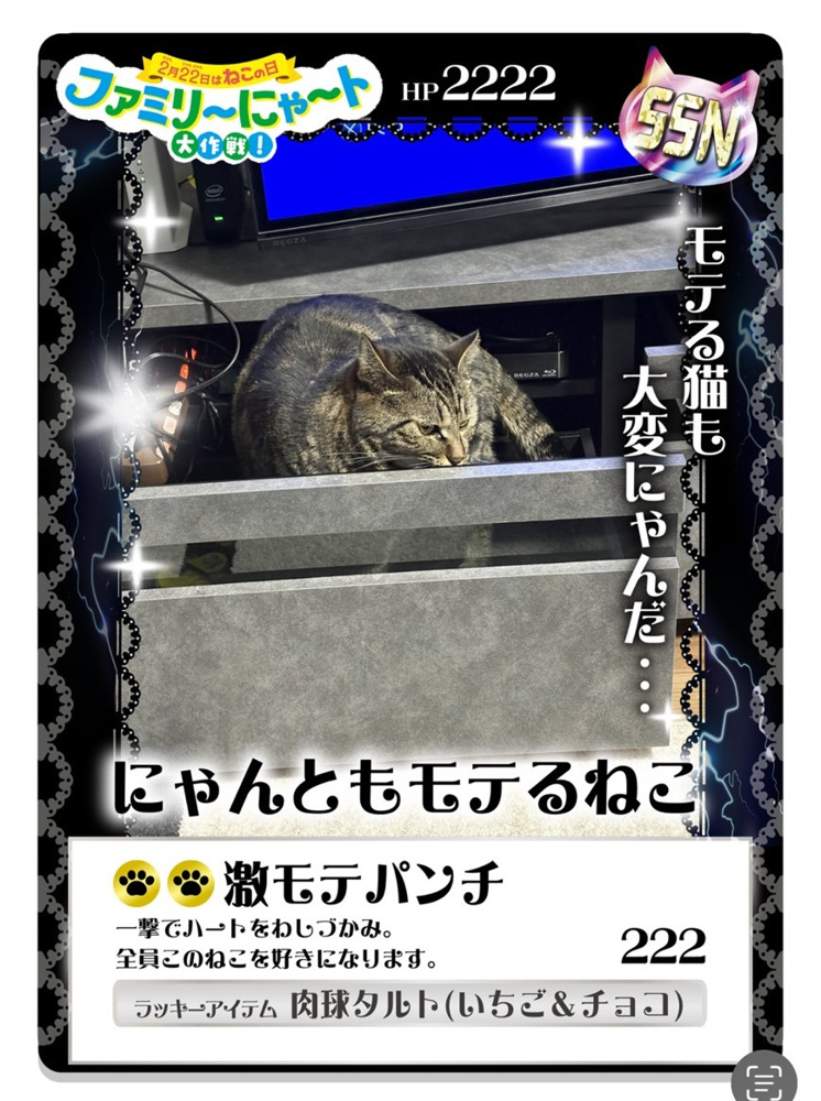 22日はネコの日で！！！の画像