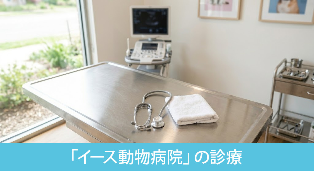 大田区にある「イース動物病院」の診療