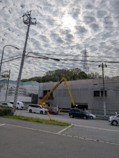 4月25日(土)新聞折込チラシの画像