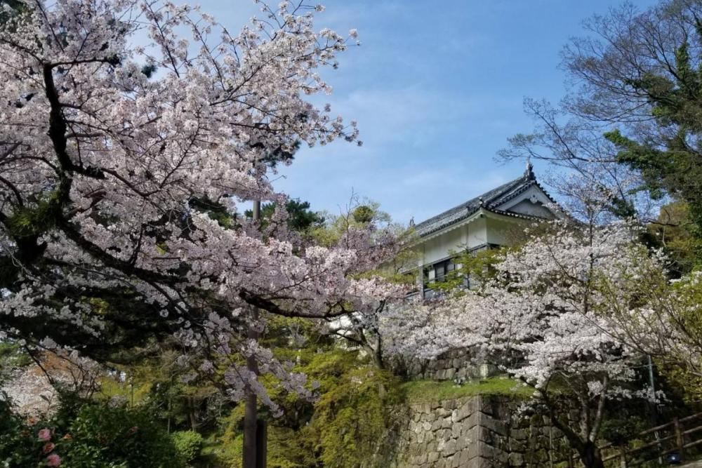 岡崎市はどんな街?お勧めする魅力と生活環境の画像
