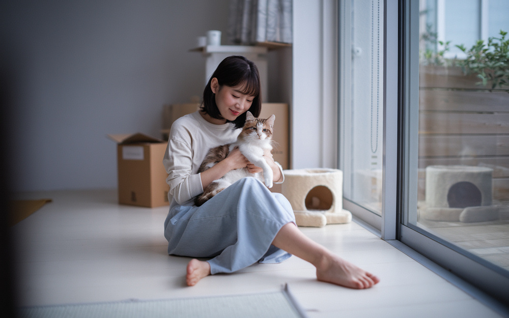 猫可賃貸で始める東小金井の新生活！地域の動物病院やペット相談先も紹介の画像