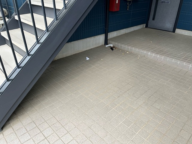 永遠のゴミ問題２の画像