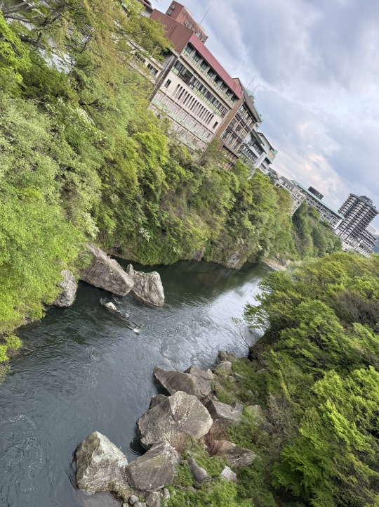 旅の思い出♪の画像