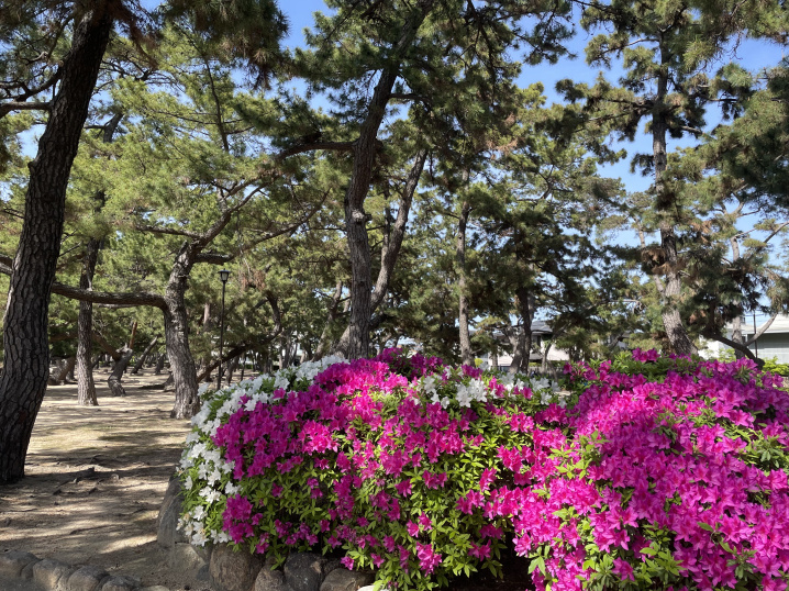 ゴールデンウイーク休暇のお知らせの画像