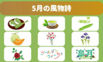 間もなく5月ですねの画像