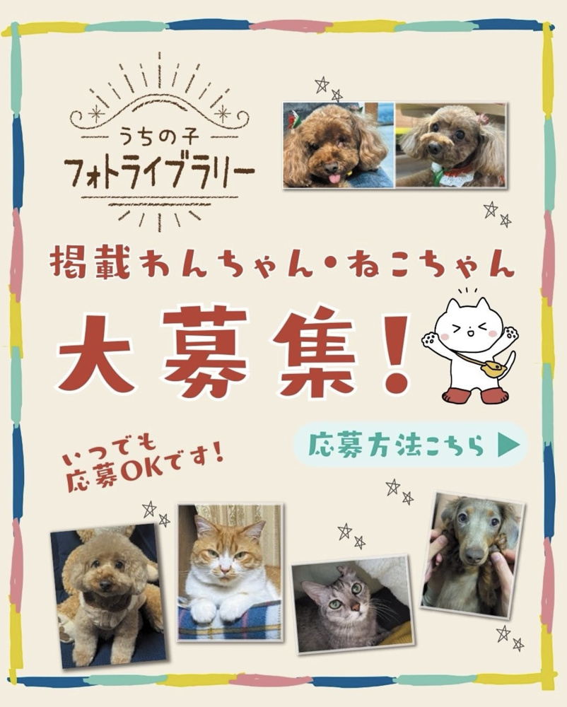 【BestStamp】自慢のペットを紹介しませんか？の画像