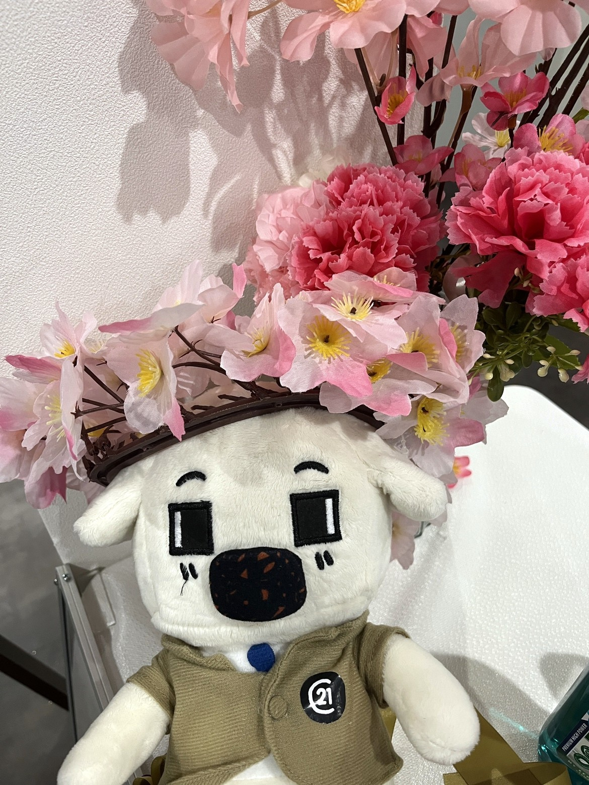 店内にもお花が咲きました！の画像