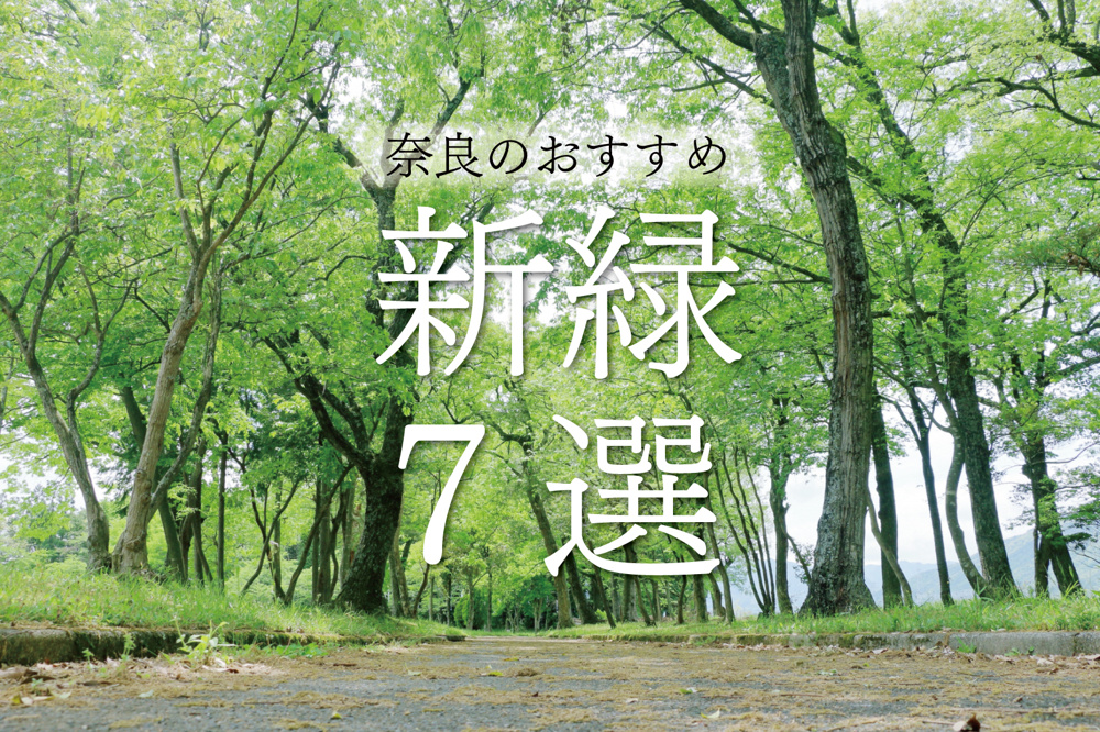 奈良の新緑スポット7選｜初夏に行きたい癒しのおでかけMAP付きガイドの画像