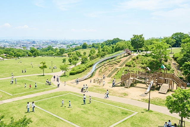「太陽の丘公園」の特徴