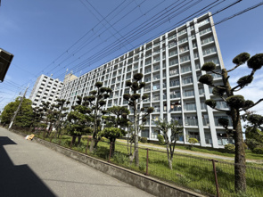 鳴尾小松住宅B棟の画像