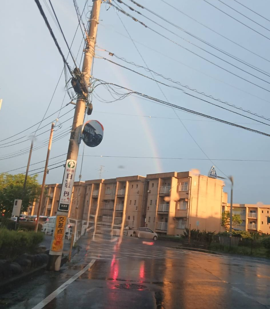 虹!!の画像