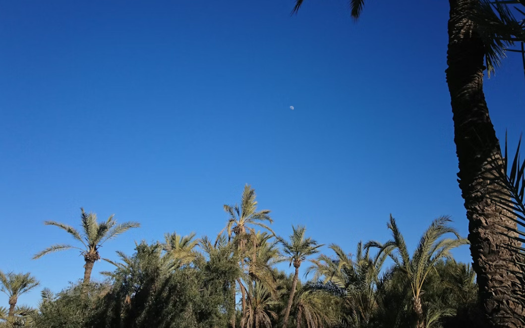 【2026年最新版】売却後の税金シミュレーション|八尾市で使える「3000万円控除」の活用法の画像