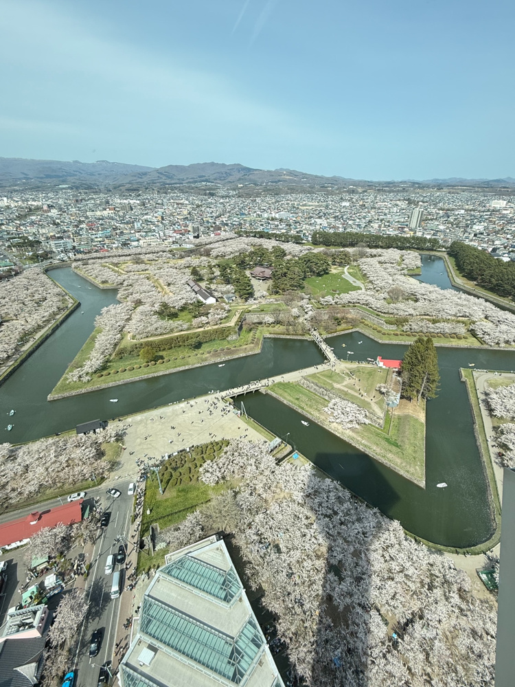 五稜郭★満開桜の画像