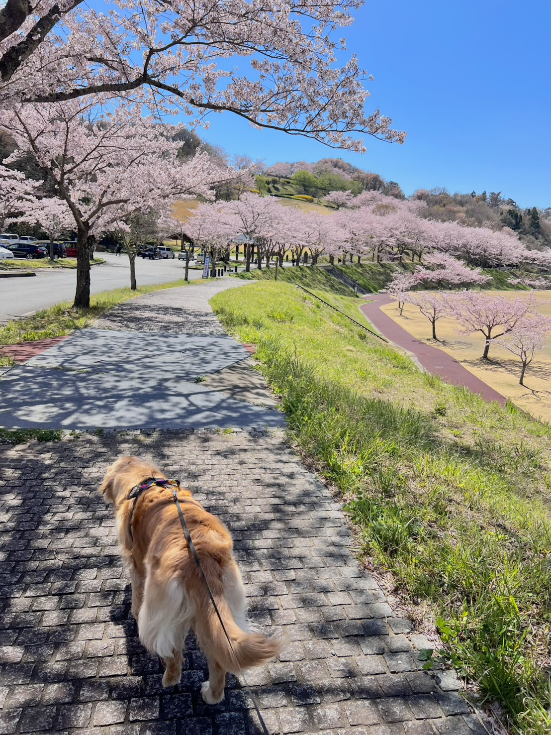 4月〆の画像
