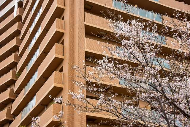まとめ～学生寮を使わなくても、希望条件を満たす住居を確保できるかも～