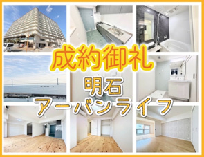 成約情報の画像