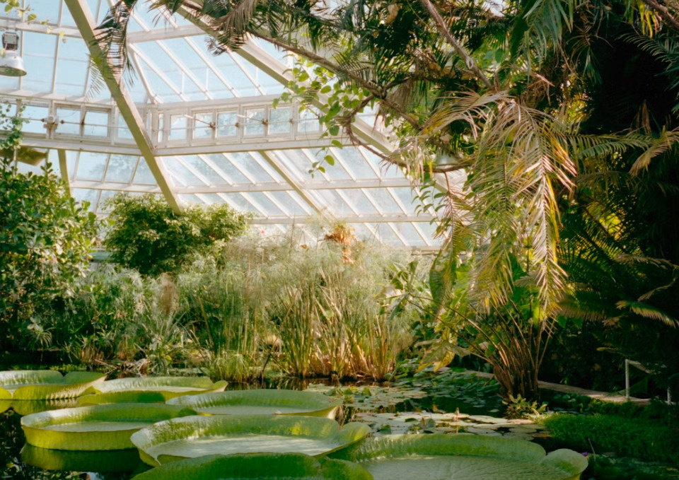 【2026年最新版】自主管理物件の売却戦略｜八尾市で「管理不安」を払拭させる説明のコツの画像