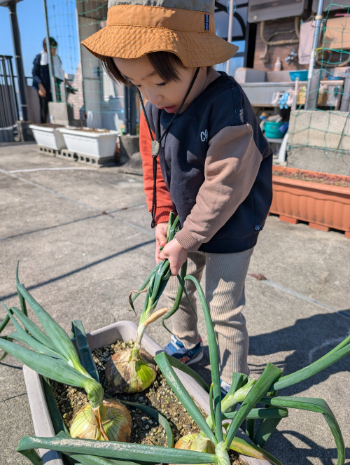 孫と共に！の画像
