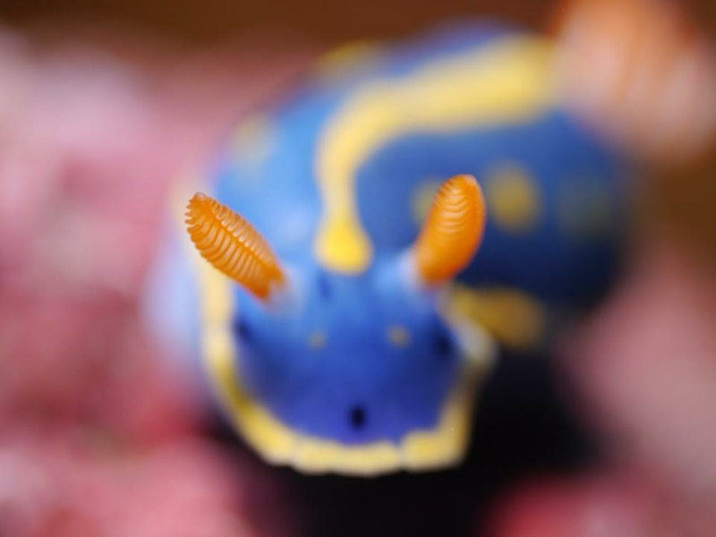 ゴールデンウィークの画像