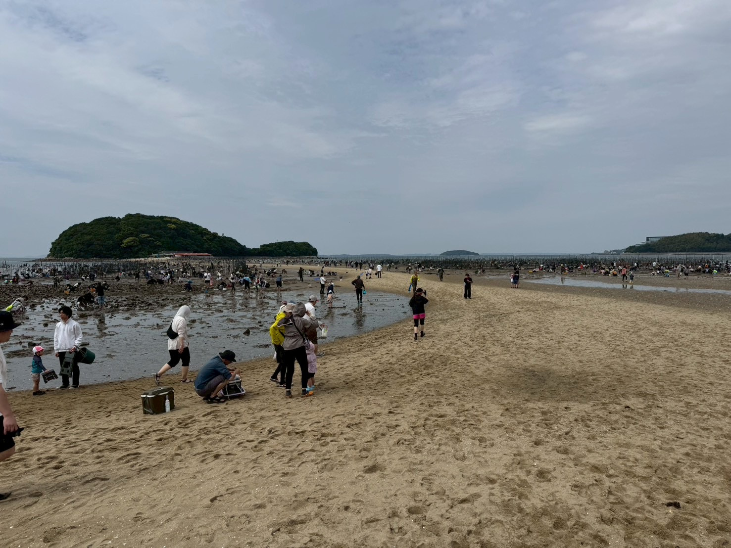 潮干狩りの画像
