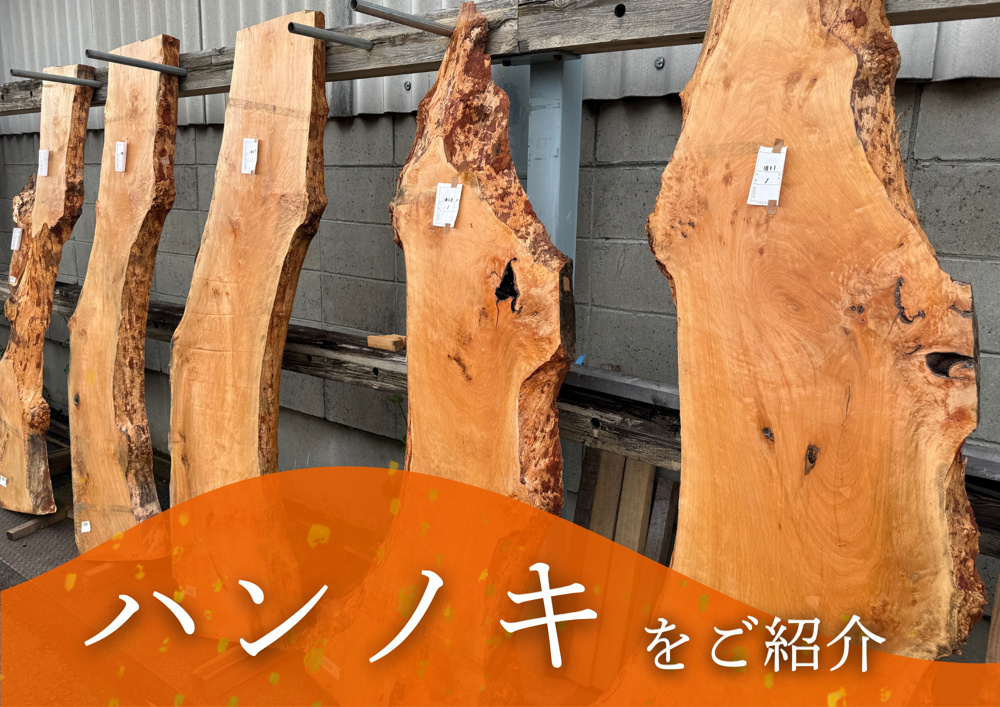 市場で見つけた希少な「ハンノキ」の画像