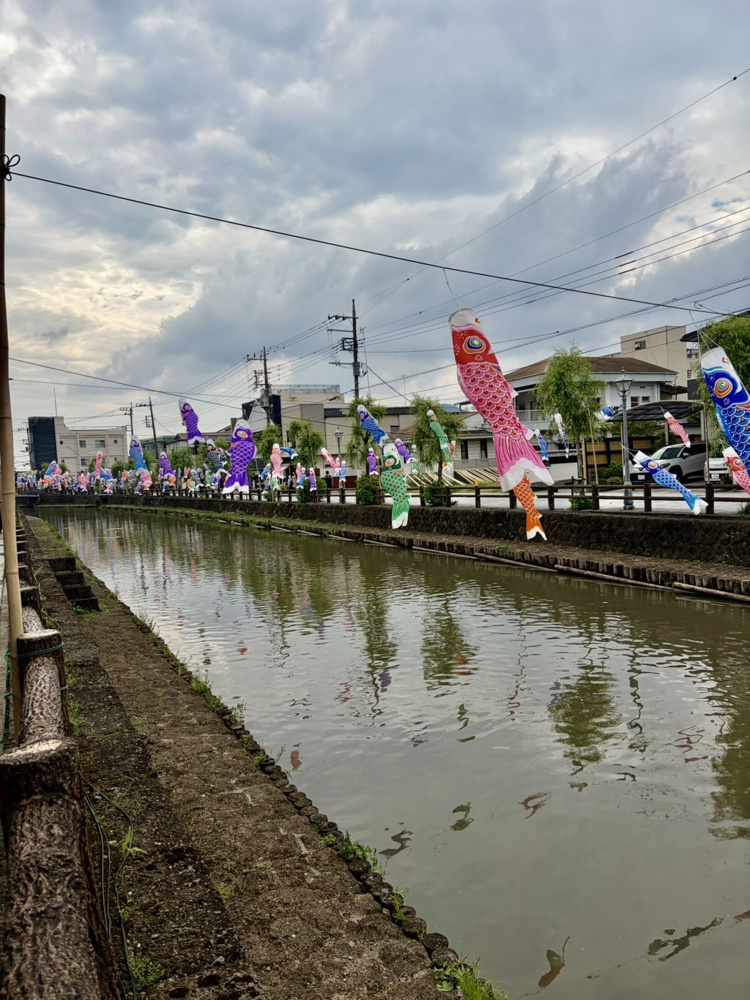 うずまの鯉のぼりにいってきました！の画像