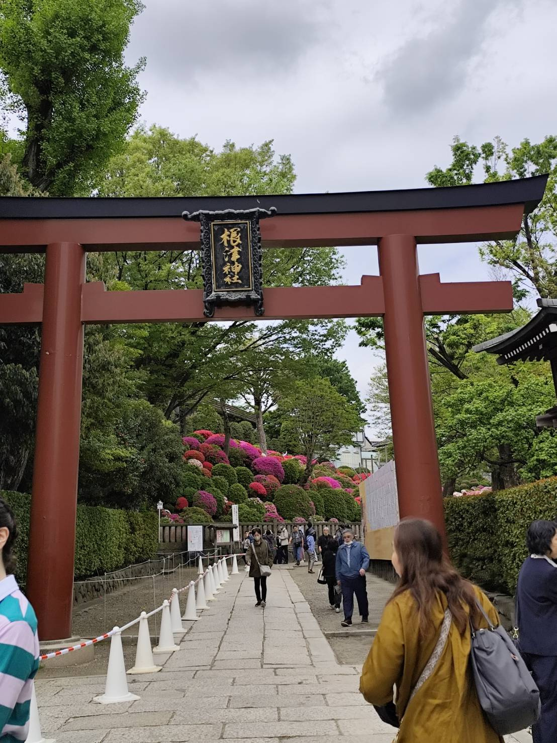 根津神社 つつじ｜世田谷区の新築戸建て｜センチュリー21ライフ