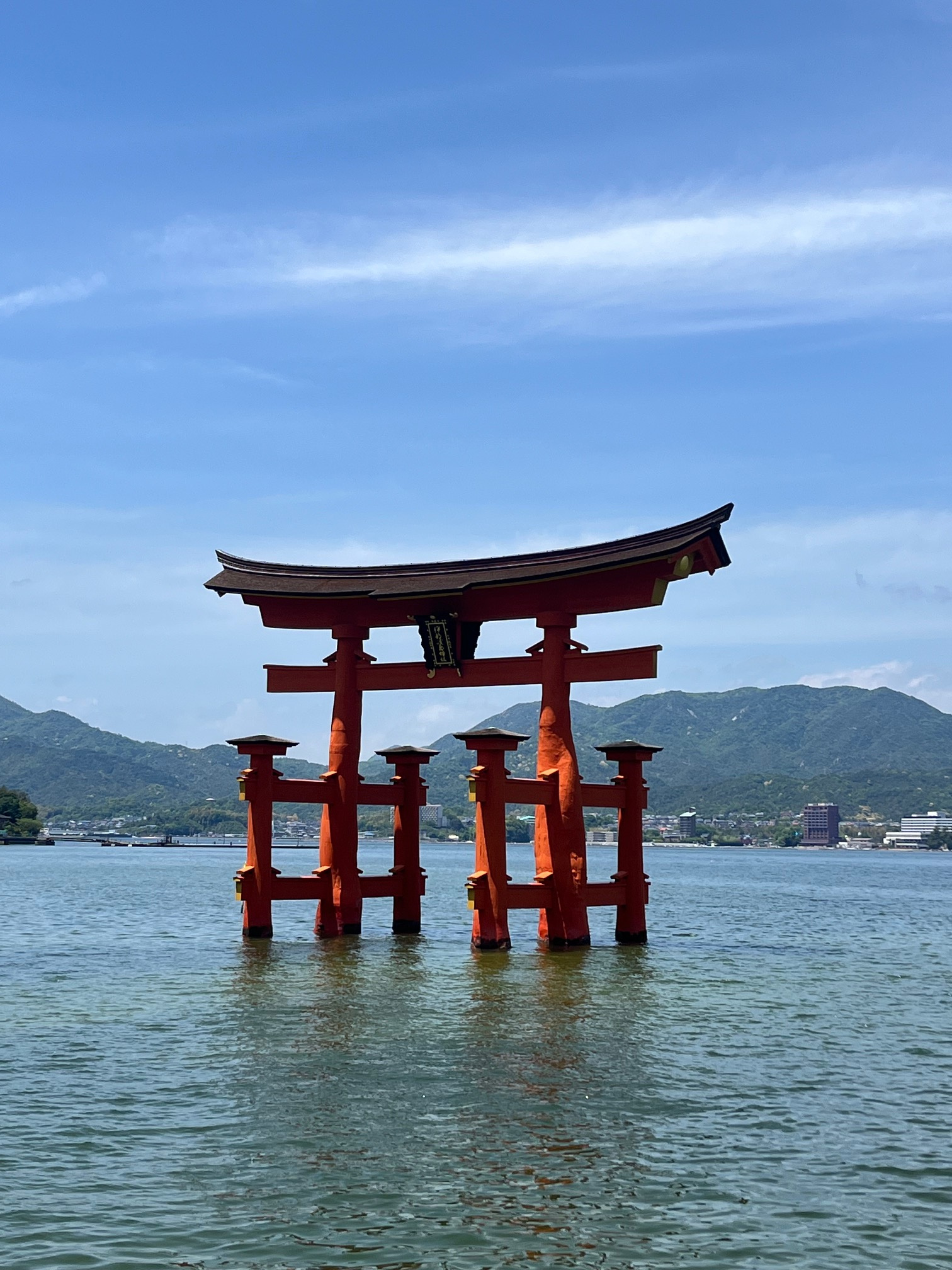 整う。の画像