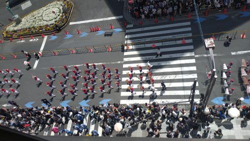 赤羽の春の風物詩「赤羽馬鹿祭り」✨の画像