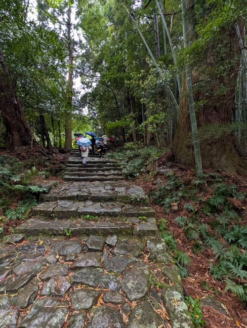 語り部さんと歩く熊野古道3日間の画像