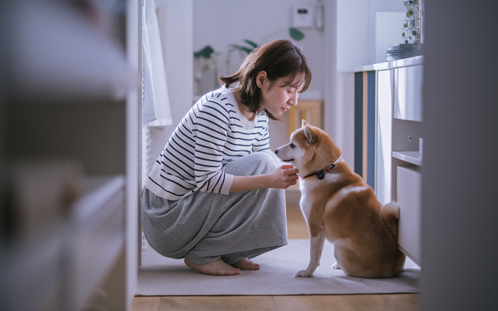 ペット可物件を選ぶ前に知るべき注意点！契約で確認したいポイントを解説の画像