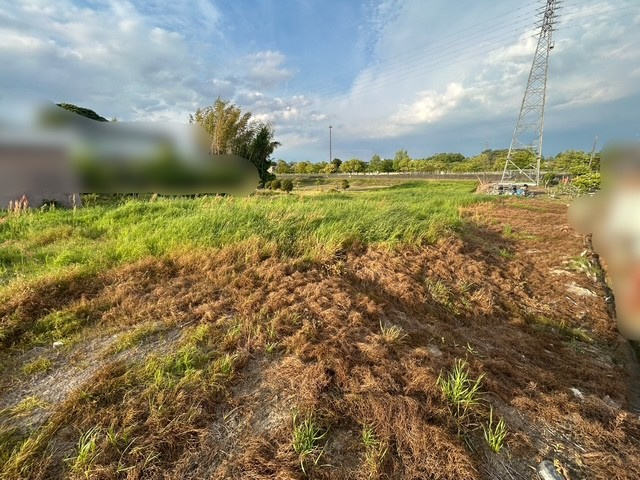 【弥富市不動産売却】農地の画像