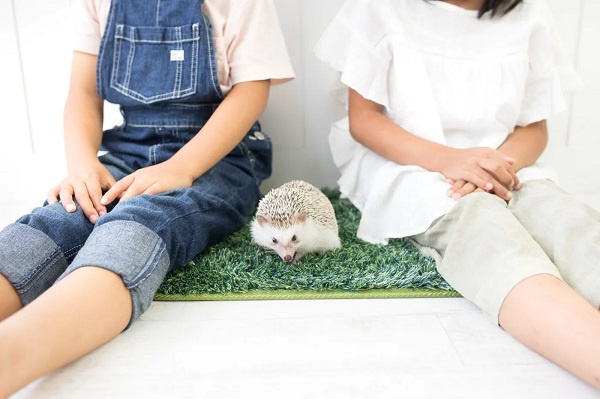 平野区と東淀川区どっちが住みやすい？不動産比較で選び方のポイントを解説の画像