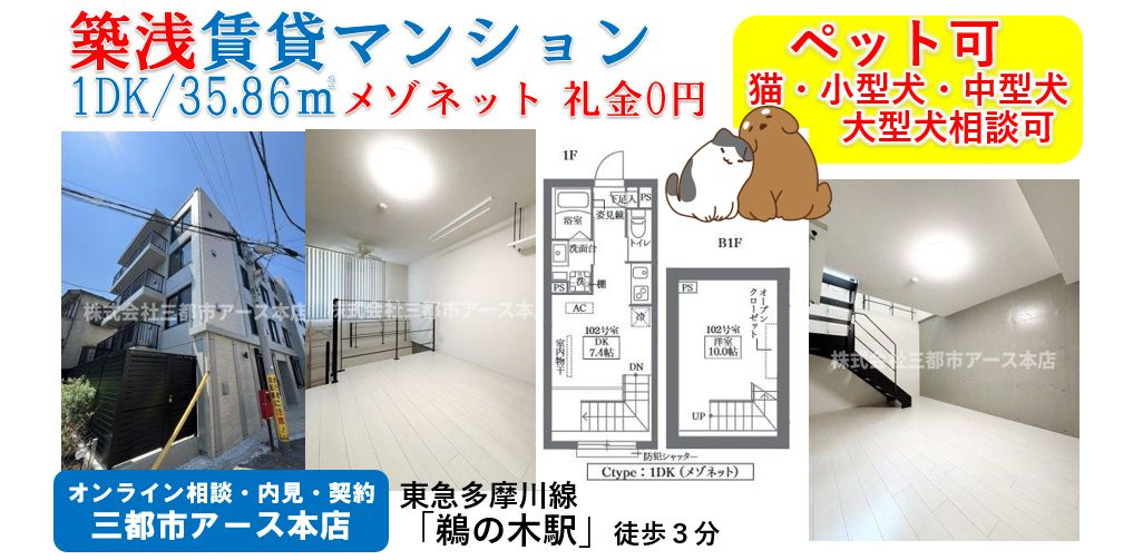 小型犬・中型犬・猫OKのペット共生の築浅賃貸マンション1DK｜鵜の木の画像
